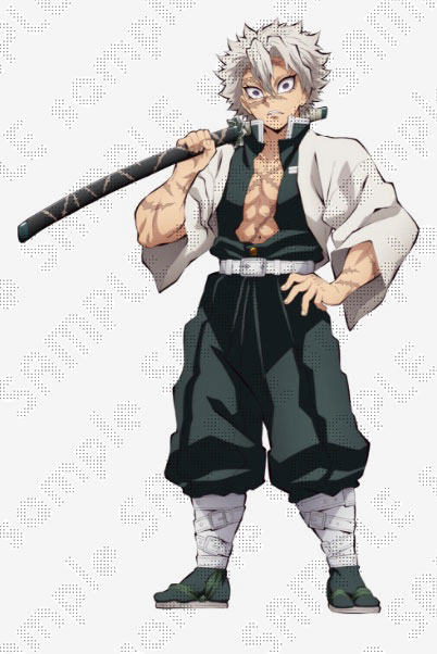 不死川実弥 キャラクターアートビジュアルファブリックポスター 鬼滅の刃 柱展