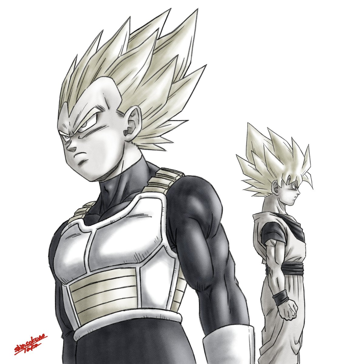 完全版の表紙。 サイヤ人編のベジータと悟空のイラストを ベジータと