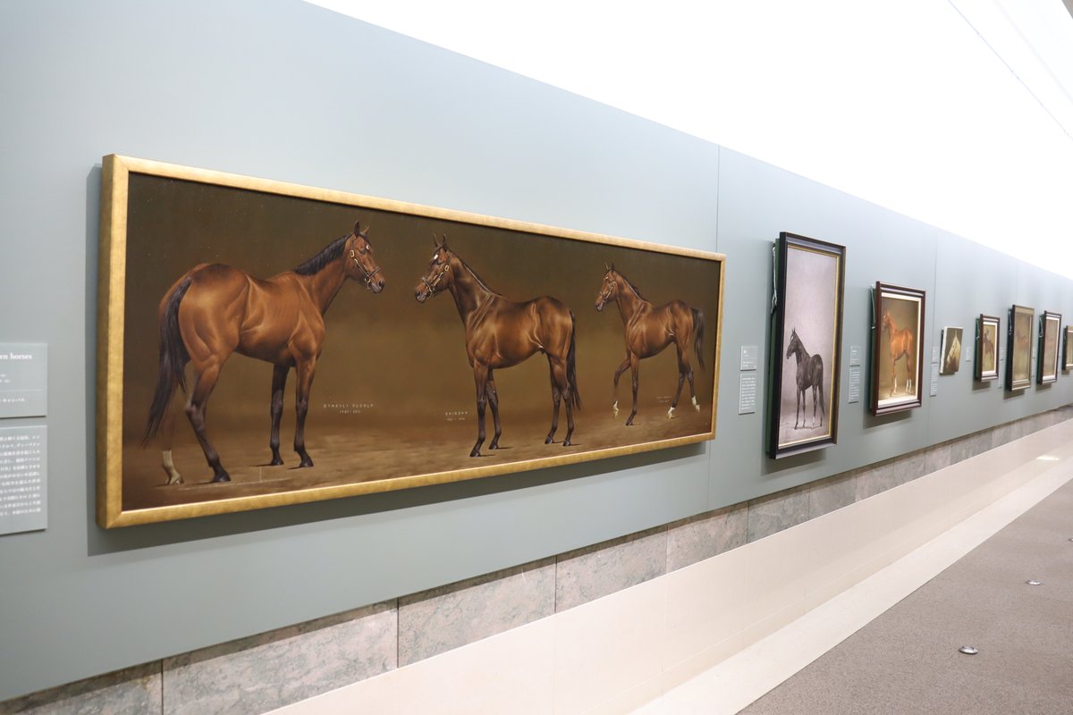 特別展「長瀬智之展 肖像画に生きる永遠の名馬たち」開幕しました✨（8
