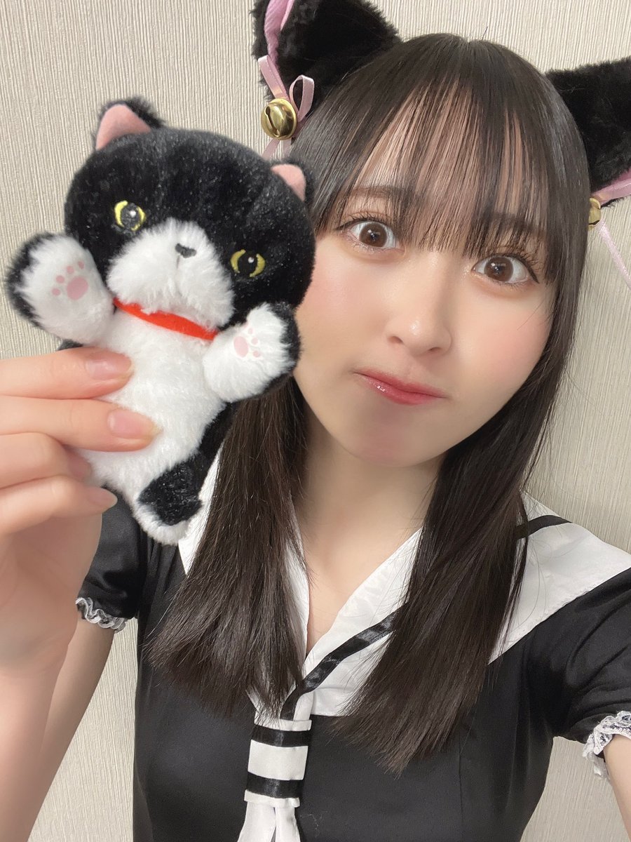 わたしたち猫なんです🐈‍⬛ #ノイミー