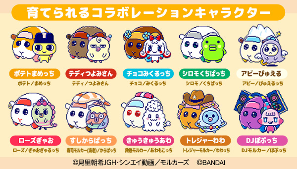 たまスマカード PUI PUI モルカーフレンズ8/6（土）発売予定🌟 PUI PUI