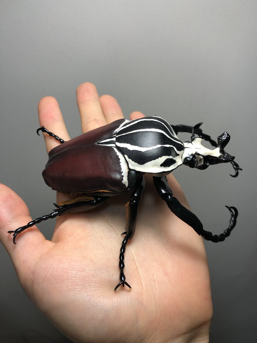 1/1 ゴライアスオオツノハナムグリ 』 12月下旬発売予定 SO-TAさんより