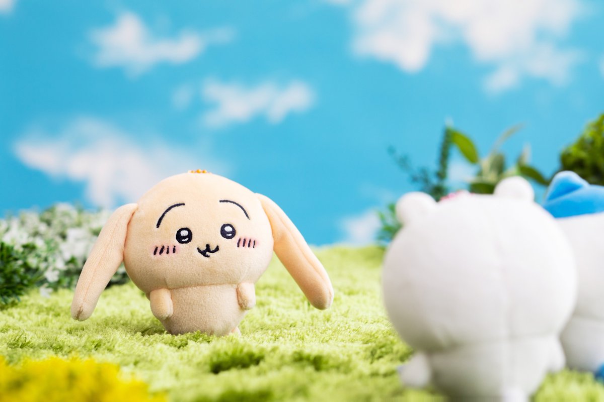 Fh1V9SZaEAIxnKc.jpg?format=jpg