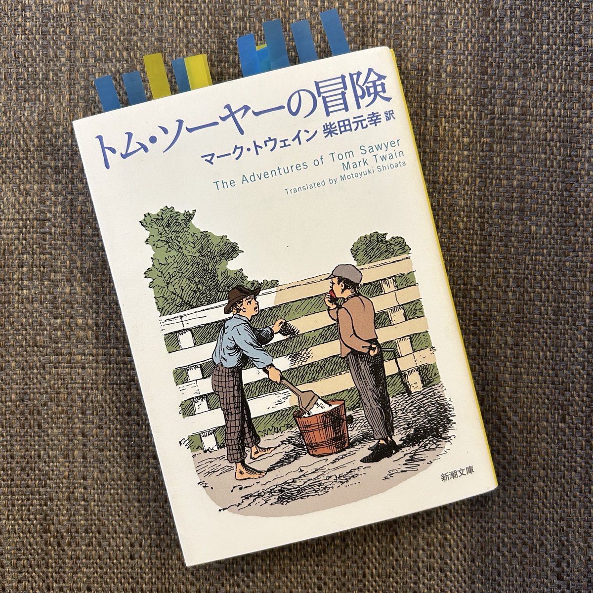 マーク・トゥエインの大冒険 トム・ソーヤーとハックルベリーの不思議