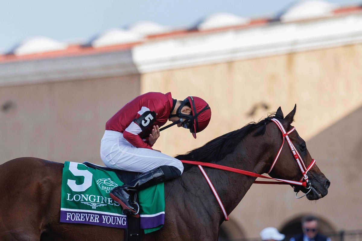 い*う様 【世界唯一】年度代表馬選出記念フォーエバーヤング坂井瑠星