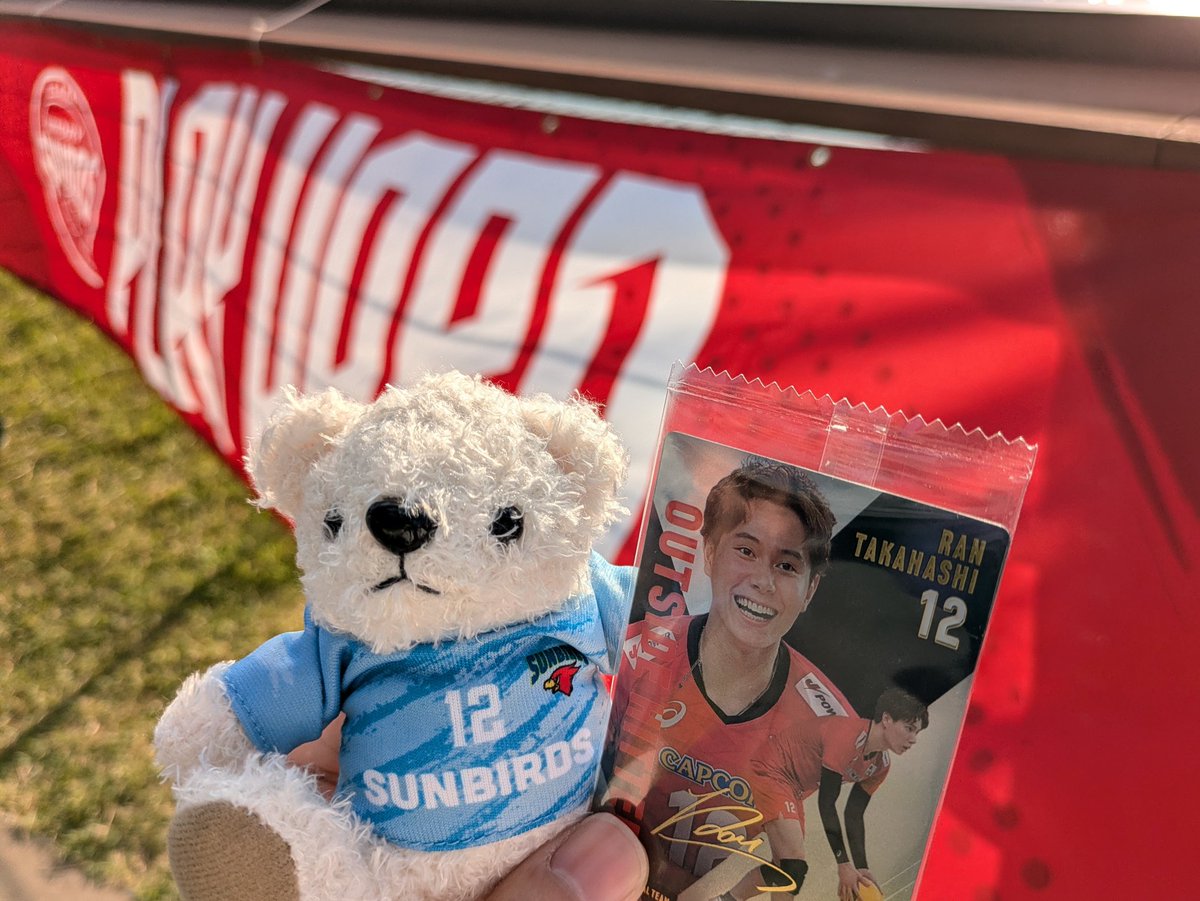 サントリーサンバーズ大阪と髙橋藍選手を応援しに来ました！