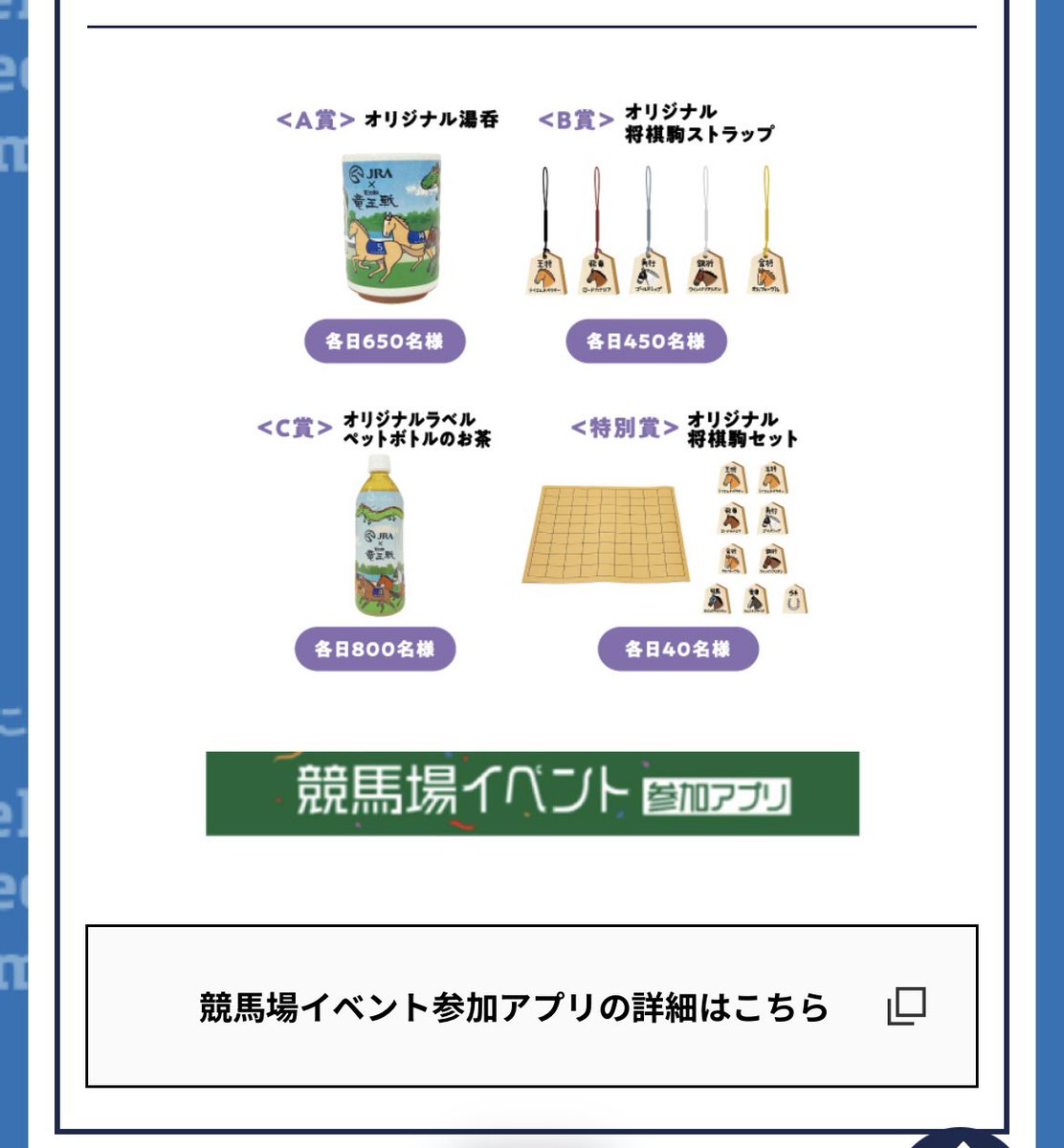 竜王戦×JRA コラボグッズ当選品 特別賞 オリジナル将棋駒セット 競馬