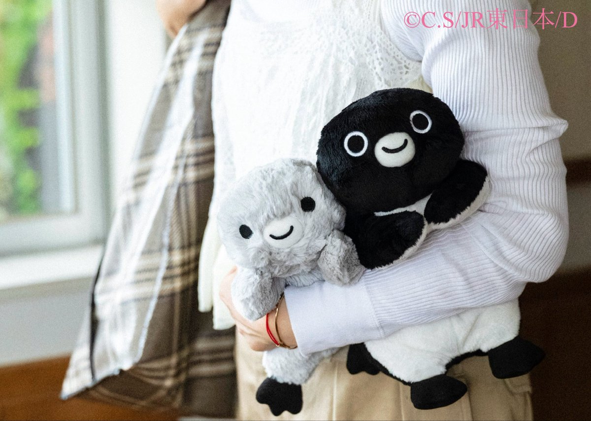 G5ssPyeacAEc_fC.jpg?format=jpg