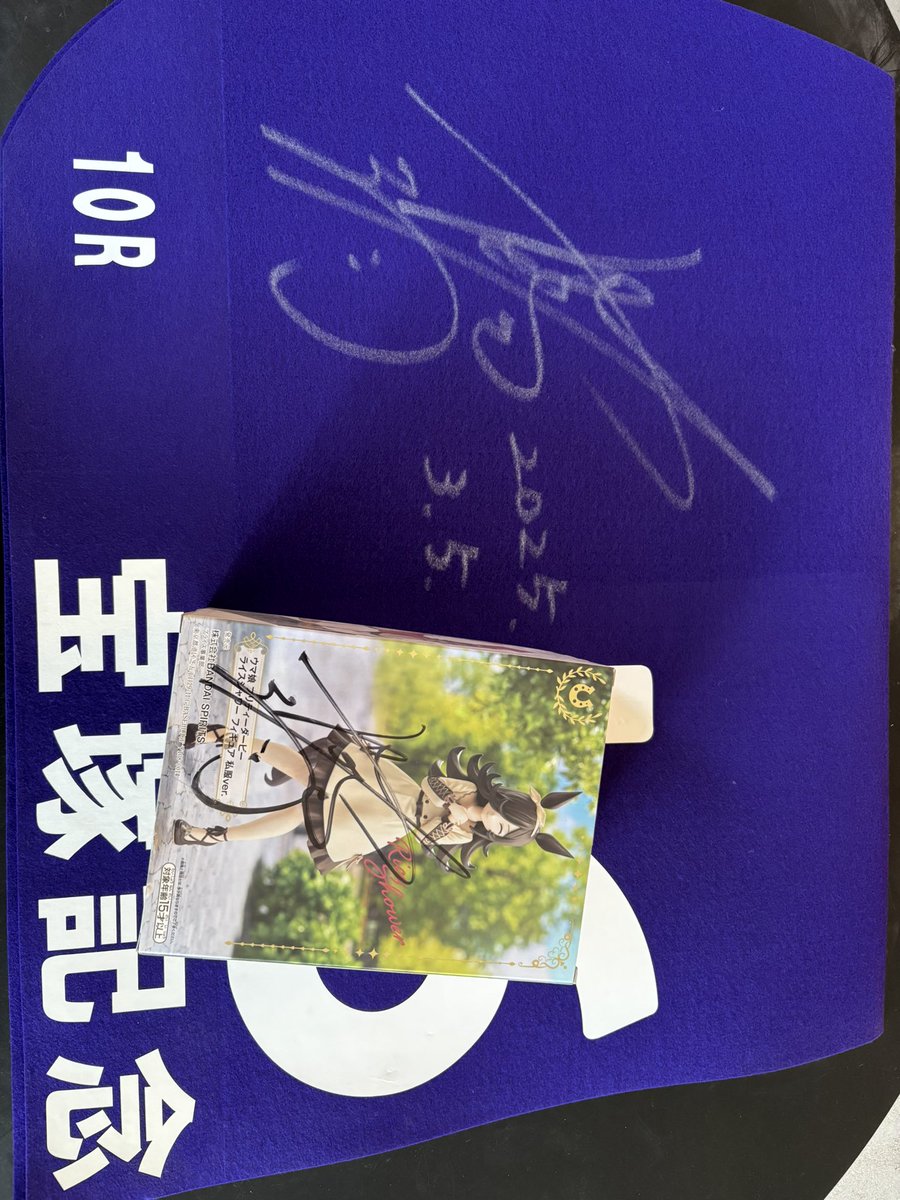 ライスシャワーカップ レース条件 京都3200m、晴れ、良バ場 出走ウマ娘