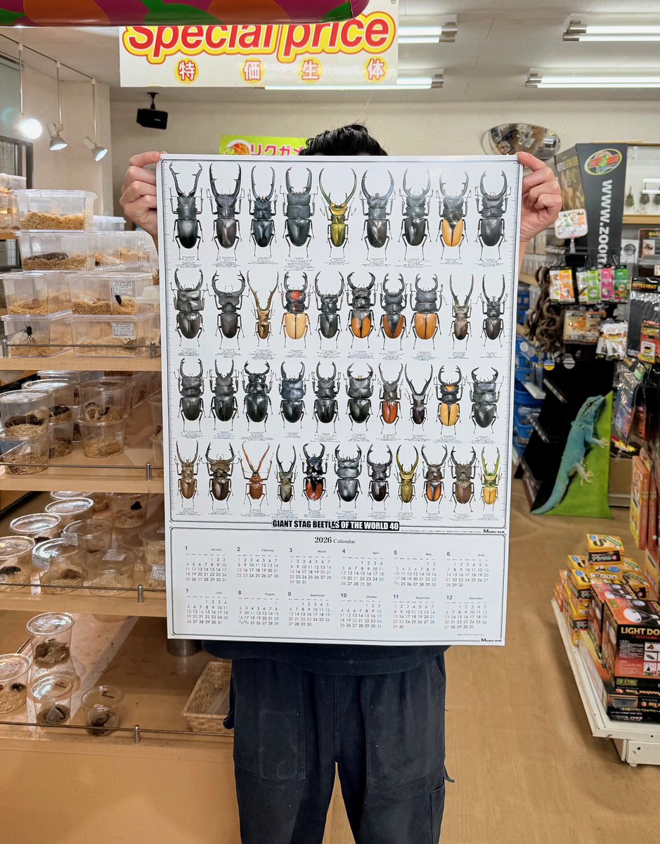 2026年むし社カレンダー】 むし社様から2026年世界の巨大クワガタ40種