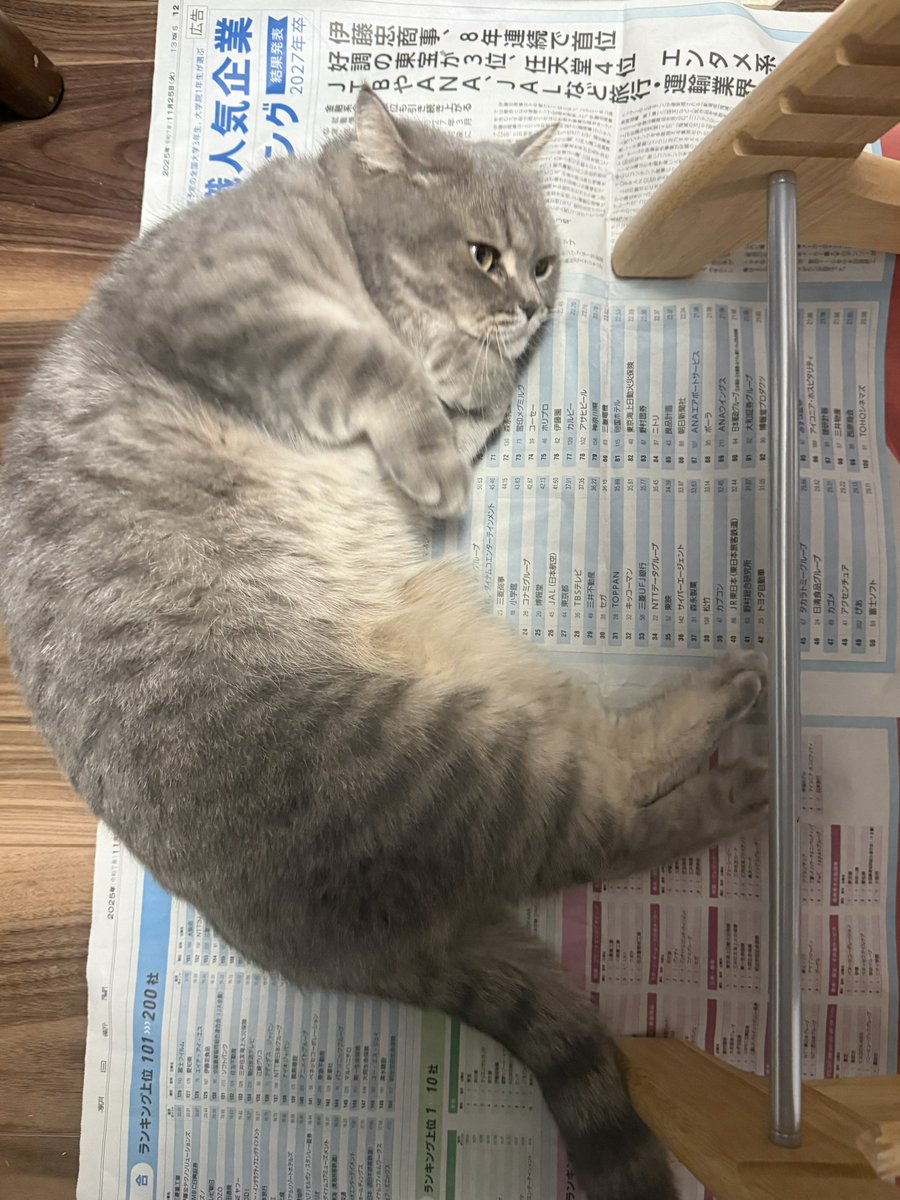 いわし先生 (@IWASHI_0723) / Posts / X