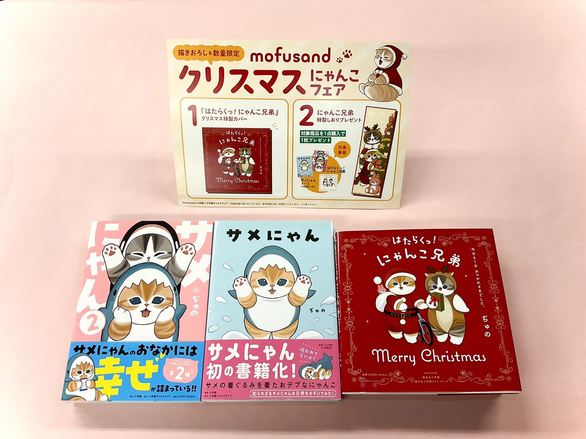 mofusand クリスマスにゃんこフェア開催中😻🎄／ フェア開催中の書店