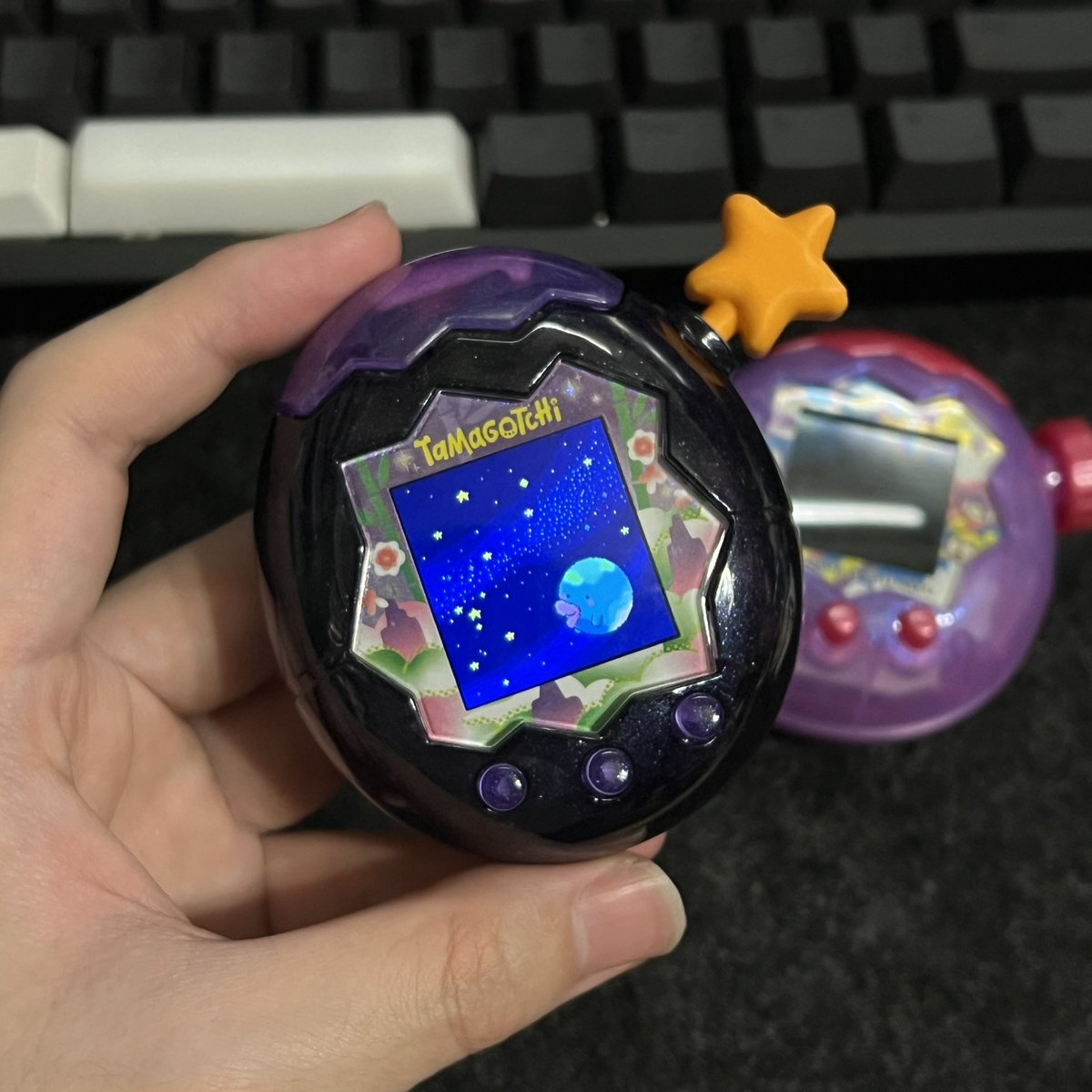 たまごっちパラダイスカスタムひと段落ついて初めて起動しました