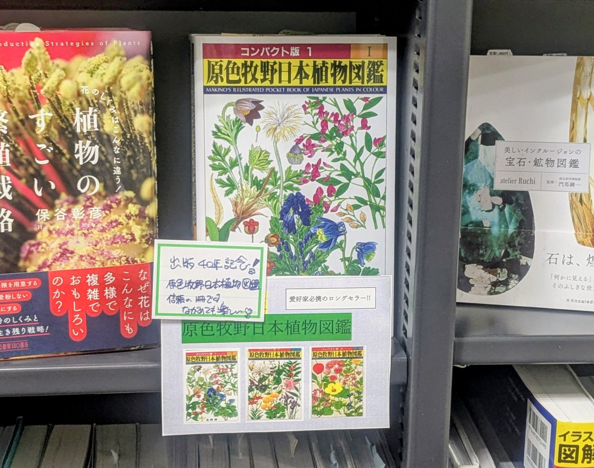 北隆館｜営業部 『牧野植物図鑑』100周年！！フェア開催中