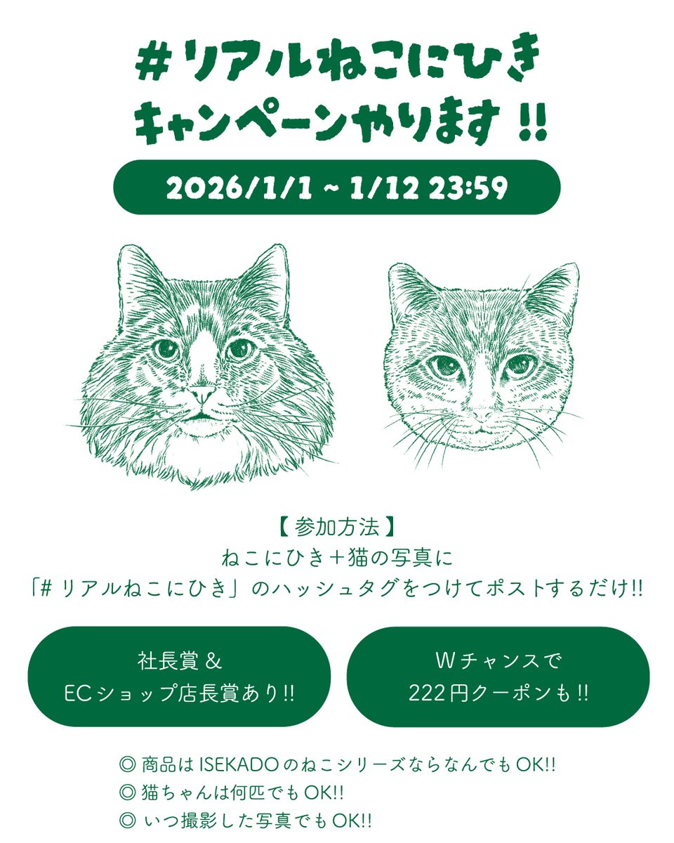 🎍 謹賀新年 🎍 社長発案 #リアルねこにひき キャンペーン🐱 「ねこに