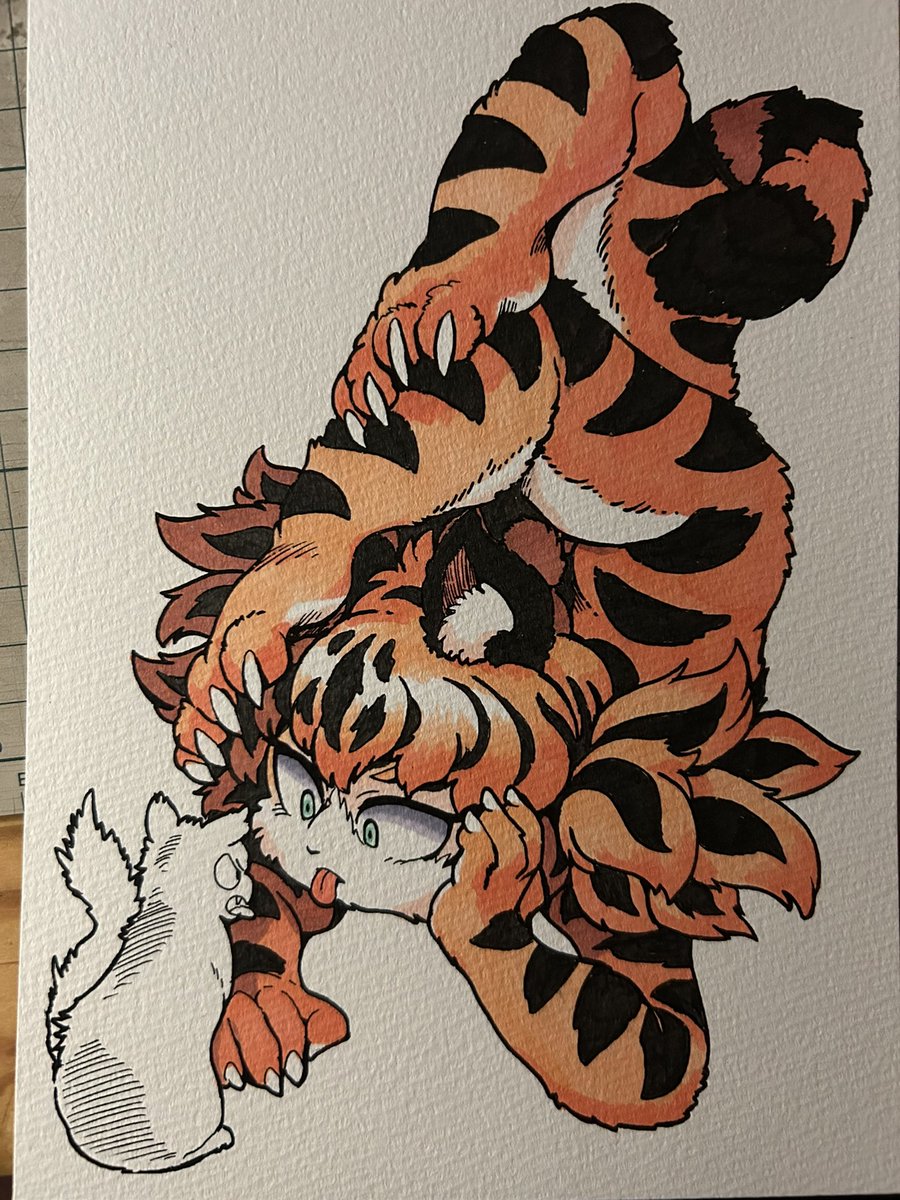 タイガーリリー タイガーロイド (仮面ライダーZX)』