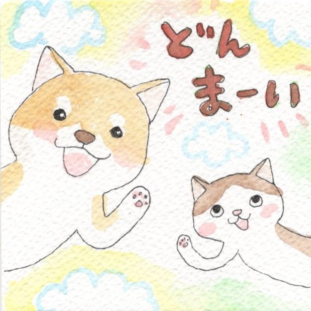 年明けて早半月。暮らしも日常、気持ちも日常。あんなに今年こそ穏やか