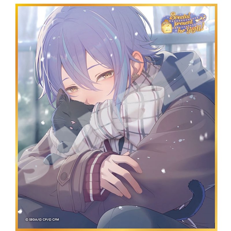 プロセカ 新グッズアニメイトで予約開始 ✓ ミニ色紙コレクション 第53