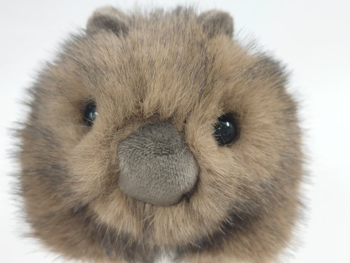 うぉ待たせしましたぁー💗✨ ＼ あの #ウォンバットボールチェーン が