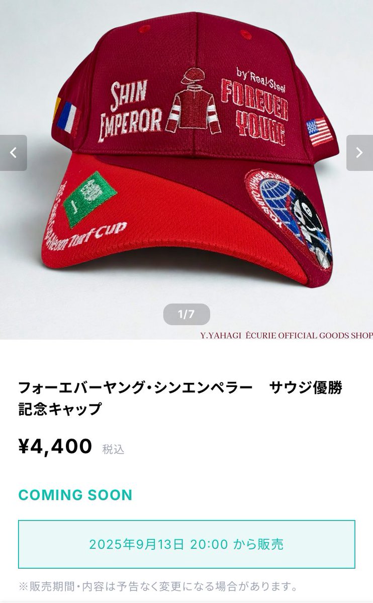 おおお！！！ついに矢作厩舎公式ショップからフォーエバーヤングとシン