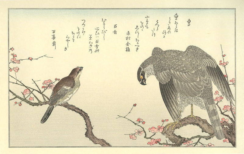 ついに #歌麿 の美麗な狂歌絵本三部作の一つ『画本虫撰』が刊行された