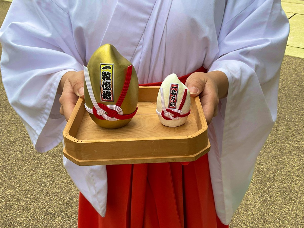 本日より「一粒万倍みくじ」の授与いたします🌾 おみくじ裏面に「超