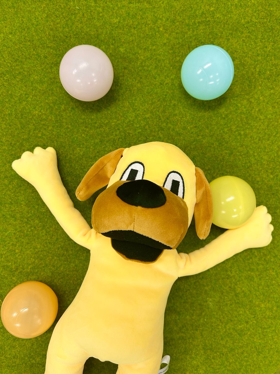 ヒューマン フォール フラット」in 22カレー 再販のご要望をいただい