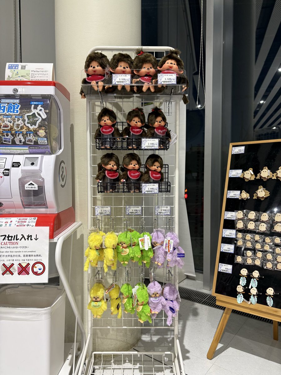 今大人気のモンチッチが、ついに五稜郭タワーにも登場いたしました