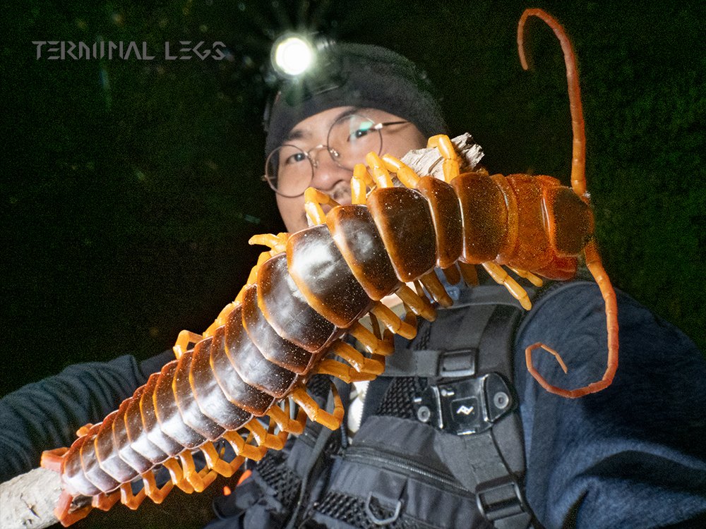 G3GuqB4aQAA-7tJ.jpg?format=jpg