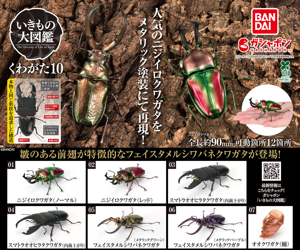 商品情報】 ／ いきもの大図鑑 くわがた10 （税込500円） ＼ いきもの