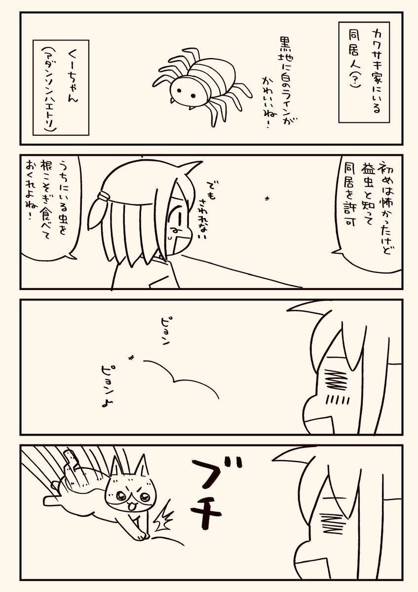 虫注意】くーちゃんより大きいサイズは同居不可でございます【虫注意】