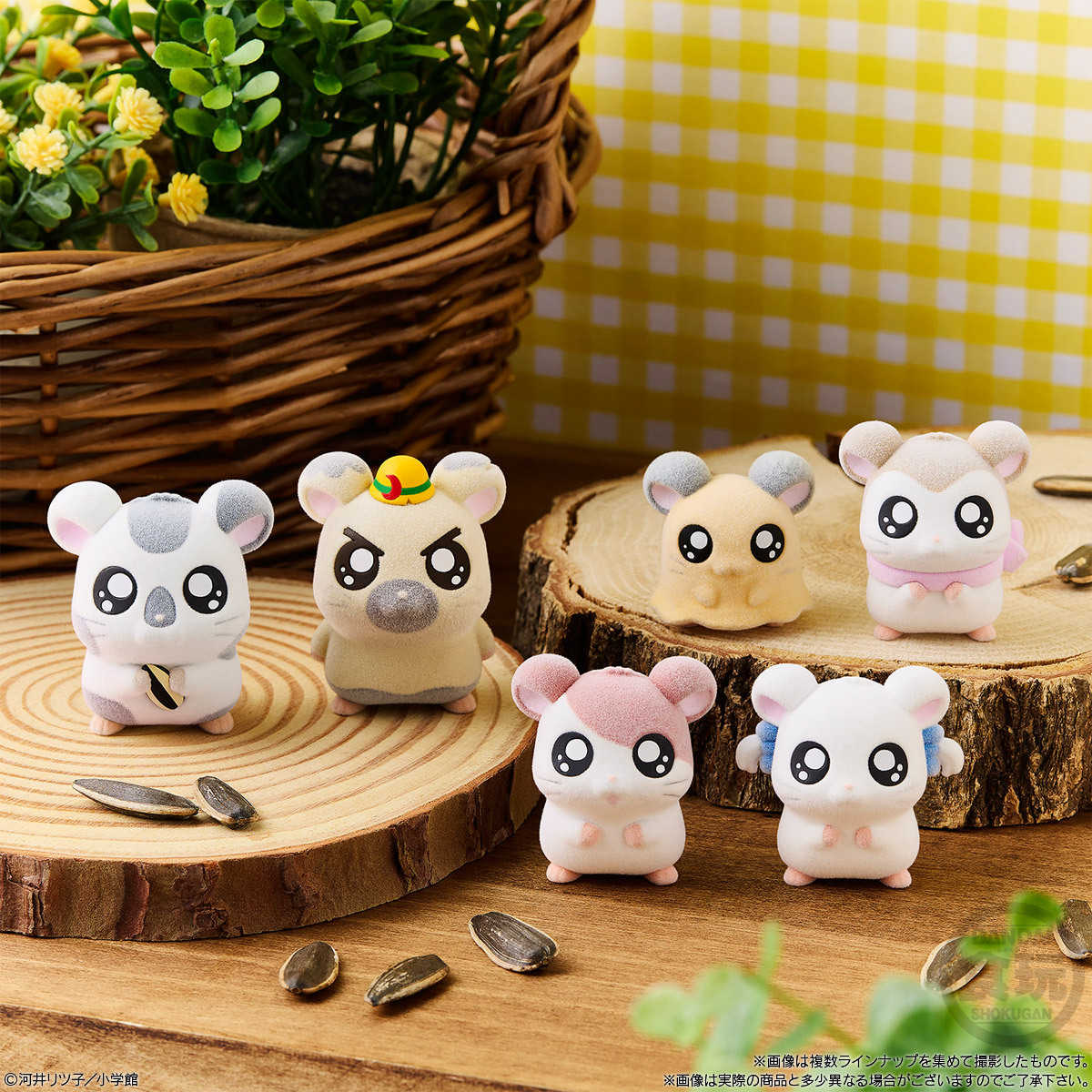 🌻ビジュアル解禁🌻／ 「とっとこハム太郎どーる」の 発売日が9月1日