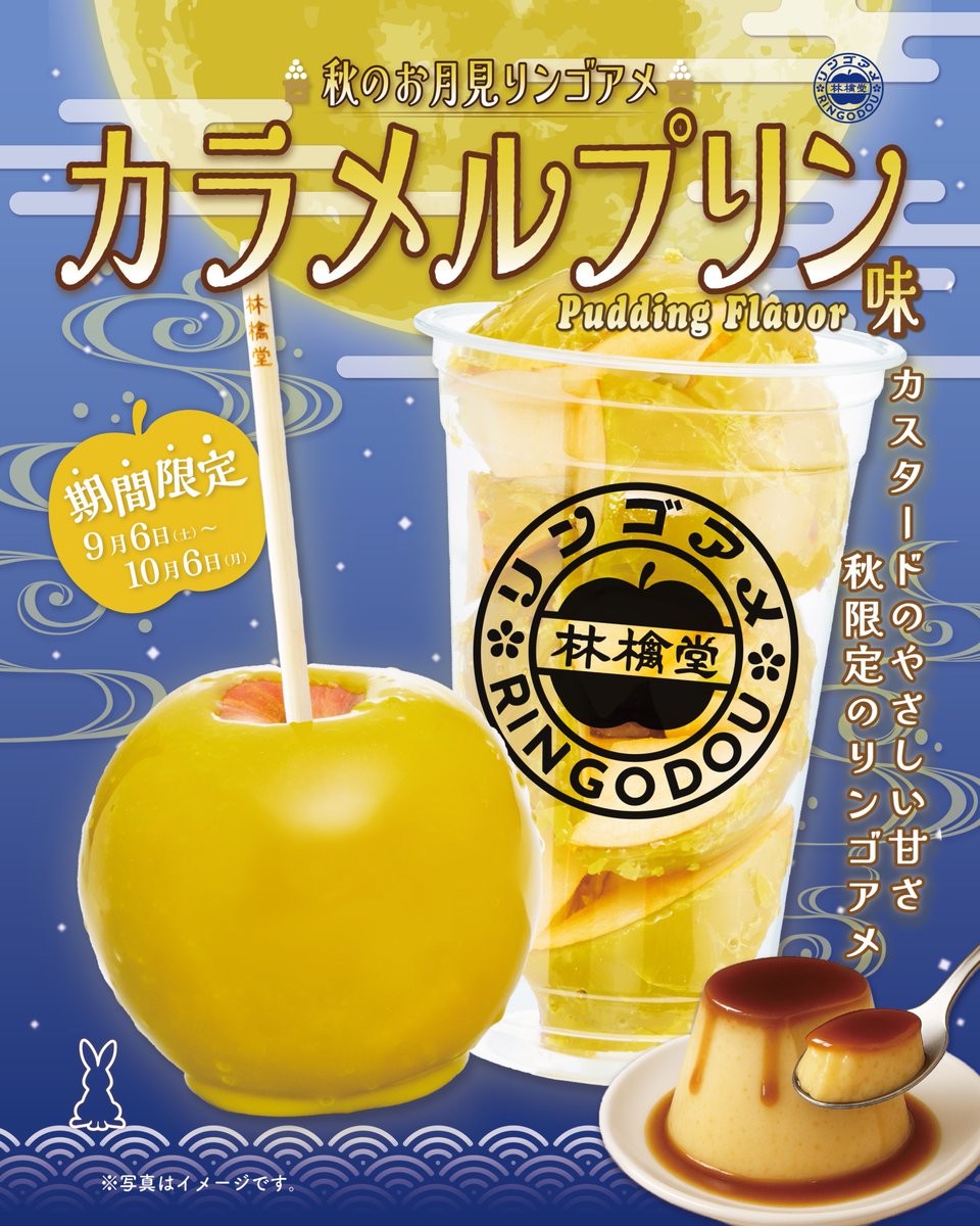 りんご出品 りんご 専用 りんご・専用シ2×3 りんご様 りんご様 ZX