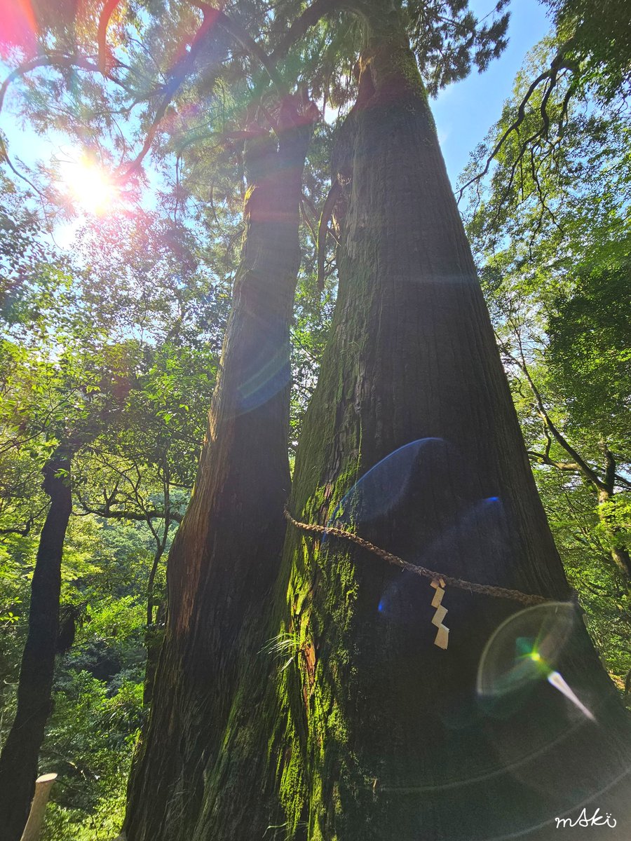 🌊🫧Maki🍃🪷.·*.•*¨*•.¸¸♬︎ (@bi78kadatemaki) / Posts / X