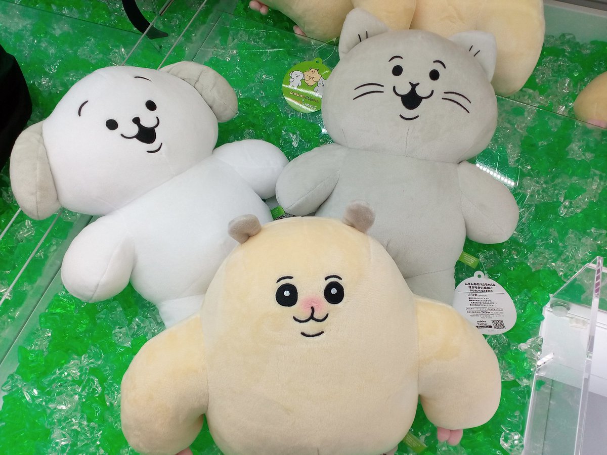 プライズ情報】 ☆ラウンドワン限定☆ ムキムキハムのちゃん＆ほがらか