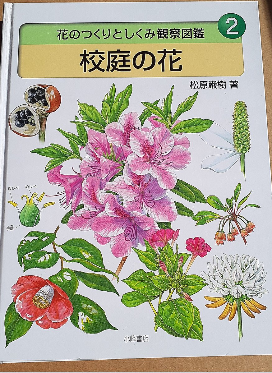 松原 巌樹 スタッフ (@MatsubaraIwaki) / Posts / X