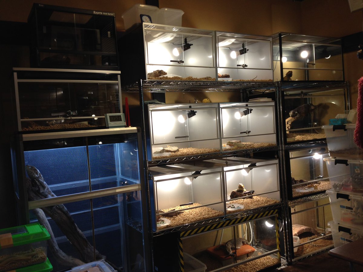 龍匠でケージオーダーすると価格はどのくらい⁉️のご質問がご