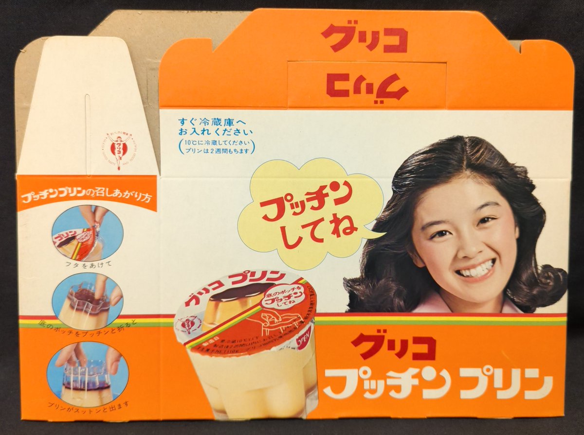 グリコ協同乳業 プッチン プリン 手持ち箱/林寛子/プッチンしてね 入荷