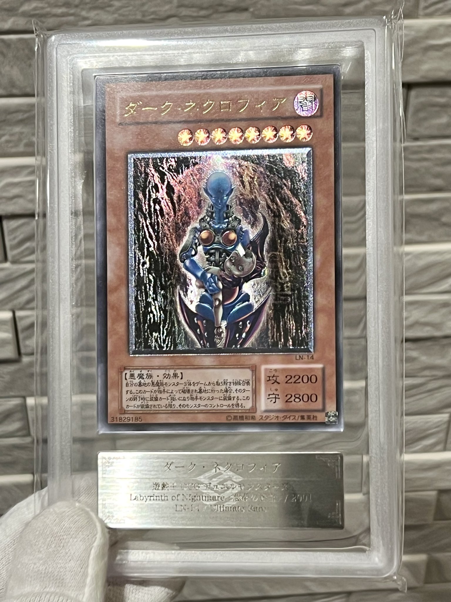 ダークネクロフィア レリーフ 遊戯王 ダークネクロフィア レリーフ