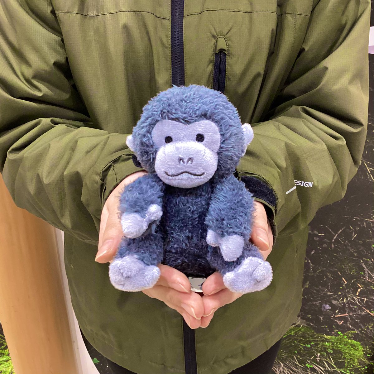 こんにちは🌸 新商品のご案内です！ 赤ちゃんゴリラのボールチェーン