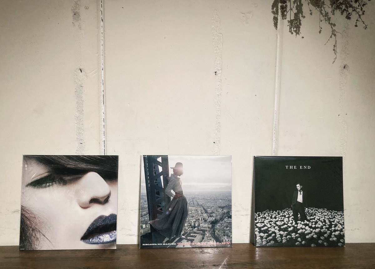 レコード】毛皮のマリーズがメジャーデビューから解散にいたるまでの