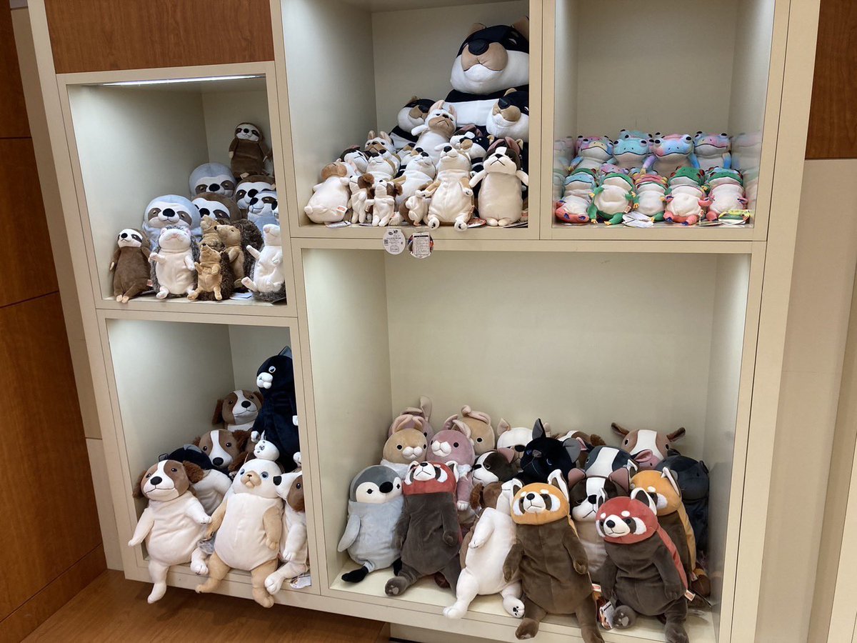 新商品、限定商品を揃えてお待ちしております⭐️🐱🐶 場所：横浜