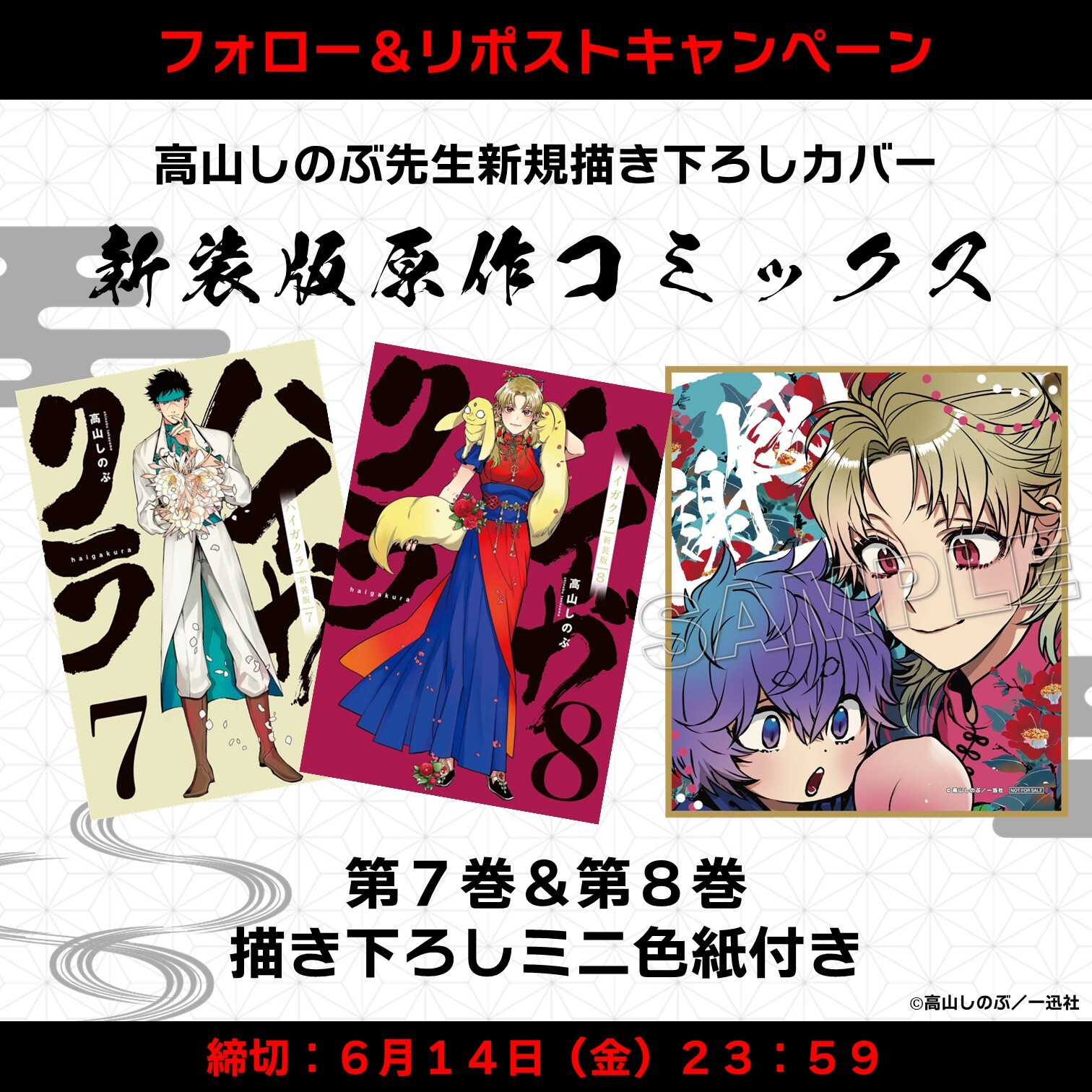 ハイガクラ 新装版 5巻 ＆ 6巻 描きおろしミニ色紙付き Amazon.co.jp