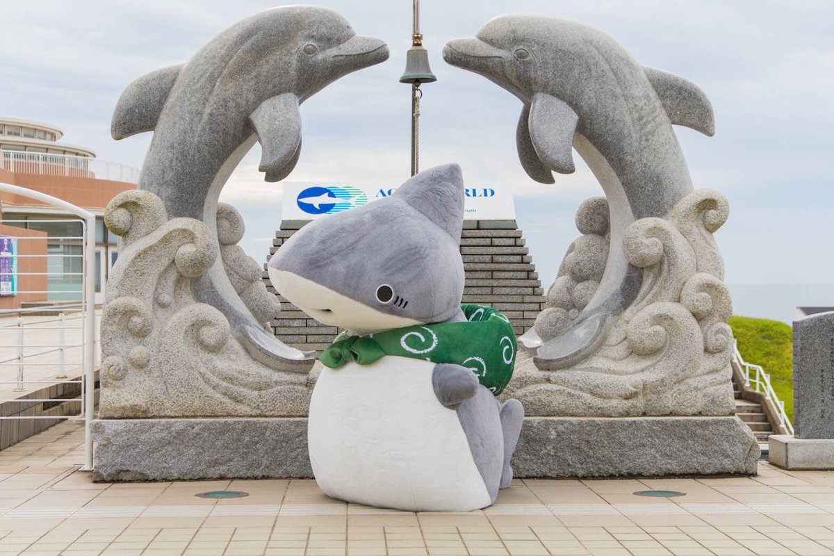 アニメ「#おでかけ子ザメ」× #アクアワールド大洗 コラボに #子ザメ