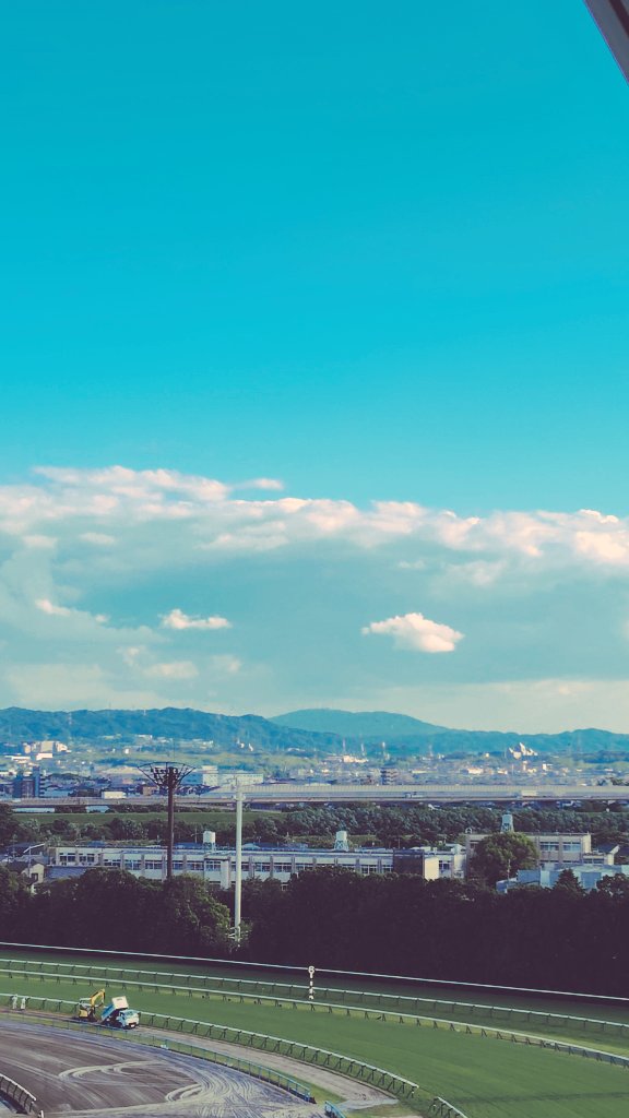 あれから、29年が経ちました。 #ライスシャワー 号、あなたのことを