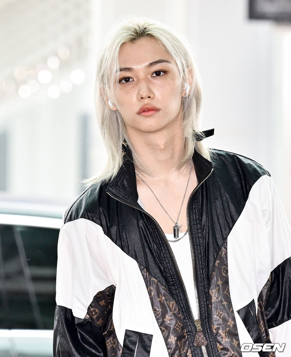 straykids スミン ストリーミング フィリックス トレカ Felix Stray