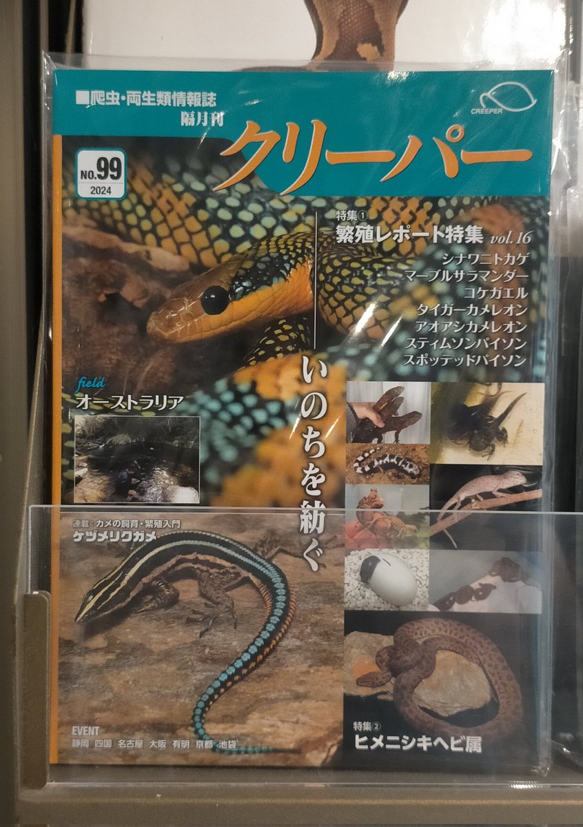 クリーパーの最新号が販売開始！ 【クリーパーNo.99 いのちを紡ぐ