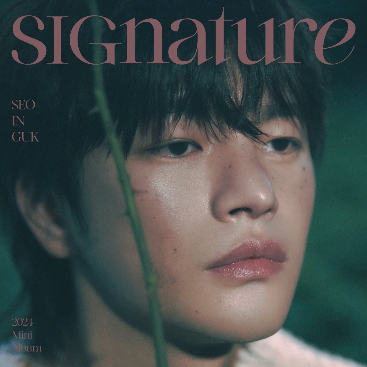 INFORMATION] SEO IN GUK 2024 MINI ALBUM「SIGnature」が2024年 8