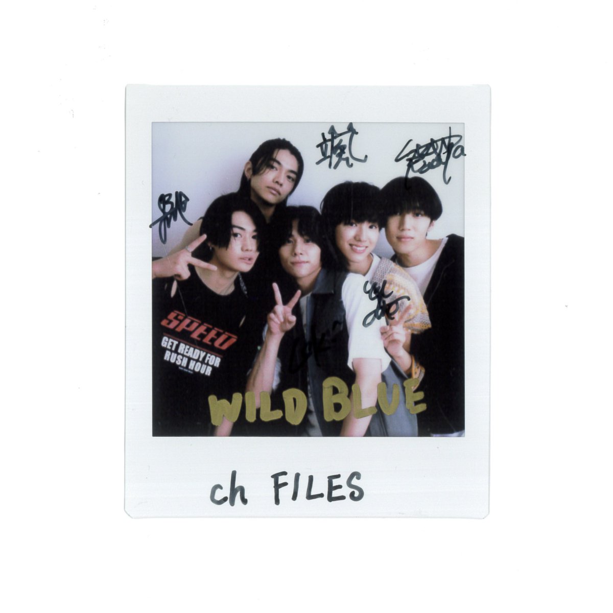 プレゼント🎁】 #WILDBLUE @wildblue_ykme サイン入りチェキ 1名様に