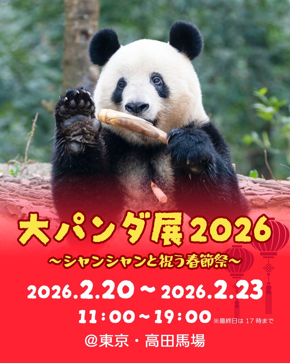 🐼2/20～2/24「大パンダ展2026～シャンシャンと祝う春節祭～」開催